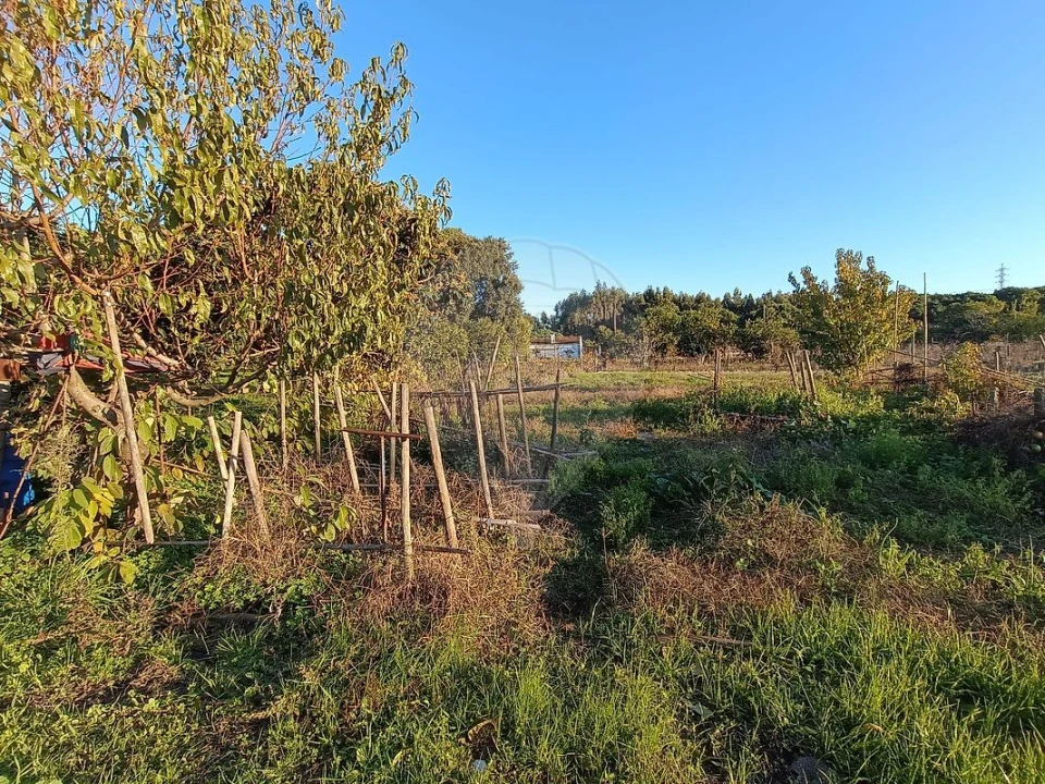 Terreno para Venda em Pontevel Foto 14