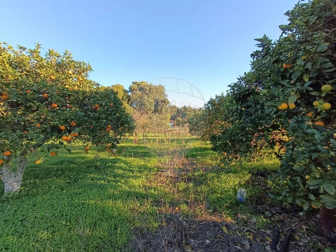 Terreno para Venda em Pontevel Foto 3