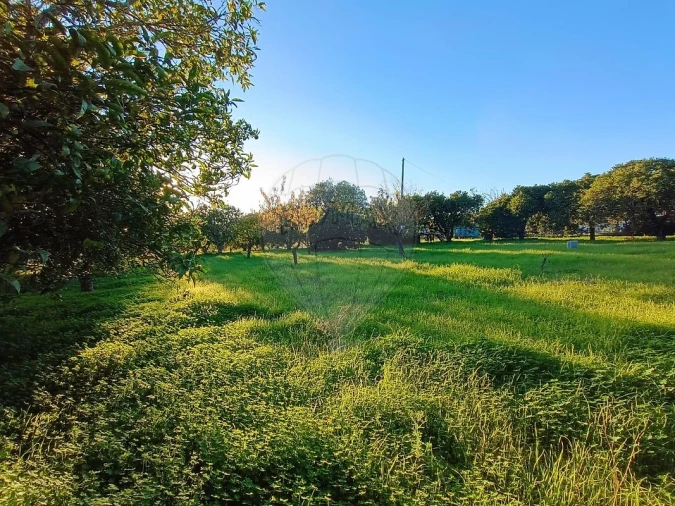 Terreno para Venda em Pontevel Foto 11