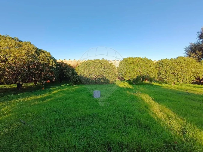 Terreno para Venda em Pontevel Foto 2