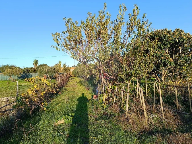 Terreno para Venda em Pontevel Foto 7