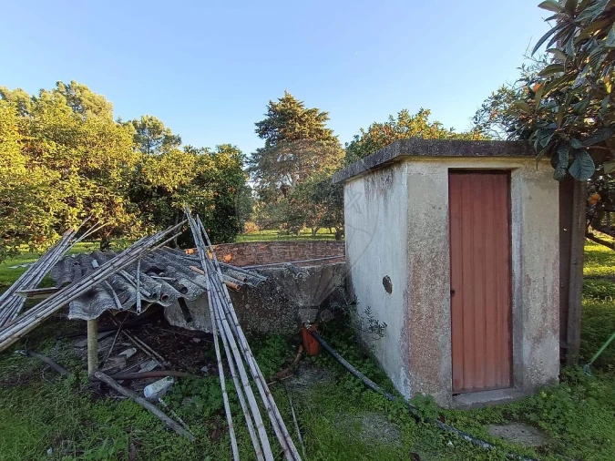 Terreno para Venda em Pontevel Foto 10