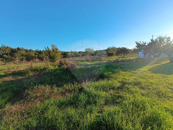 Terreno para Venda em Pontevel Foto 13