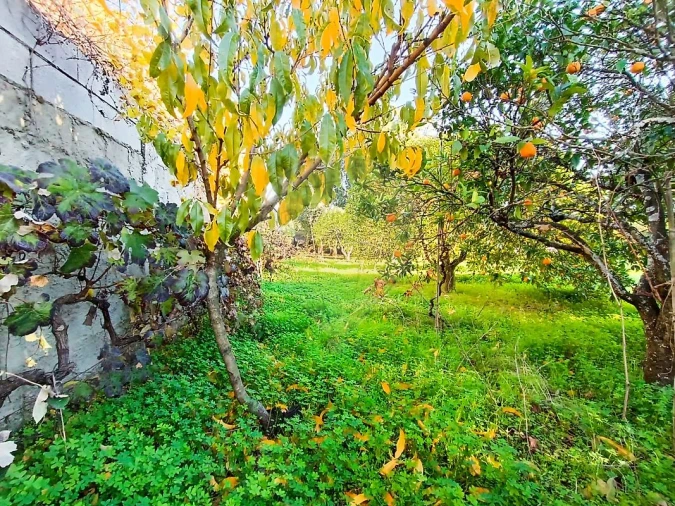 Terreno para Venda em Pontevel Foto 6