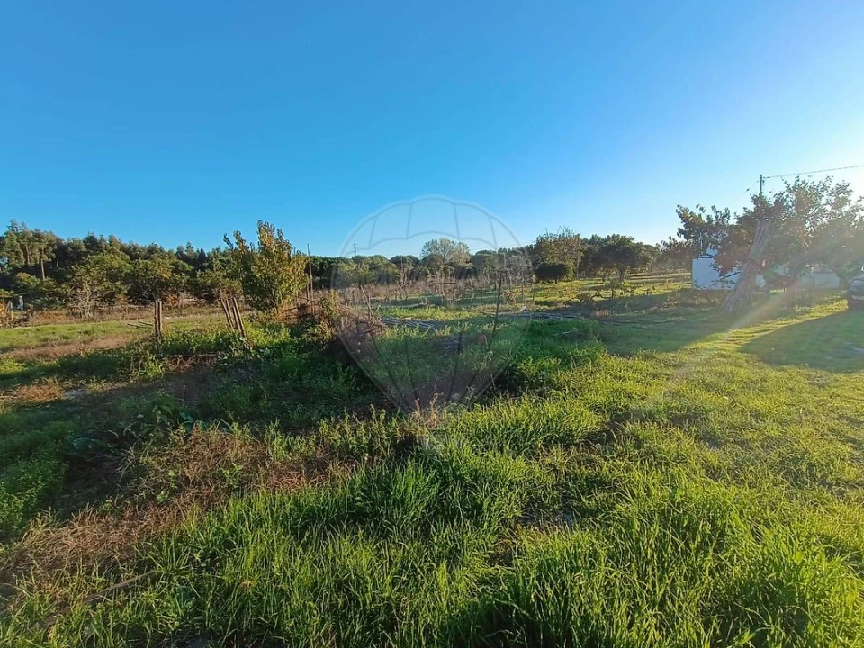 Terreno para Venda em Pontevel Foto 13