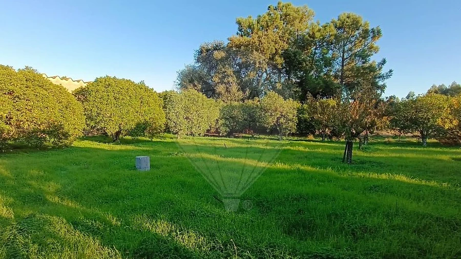 Terreno para Venda em Pontevel