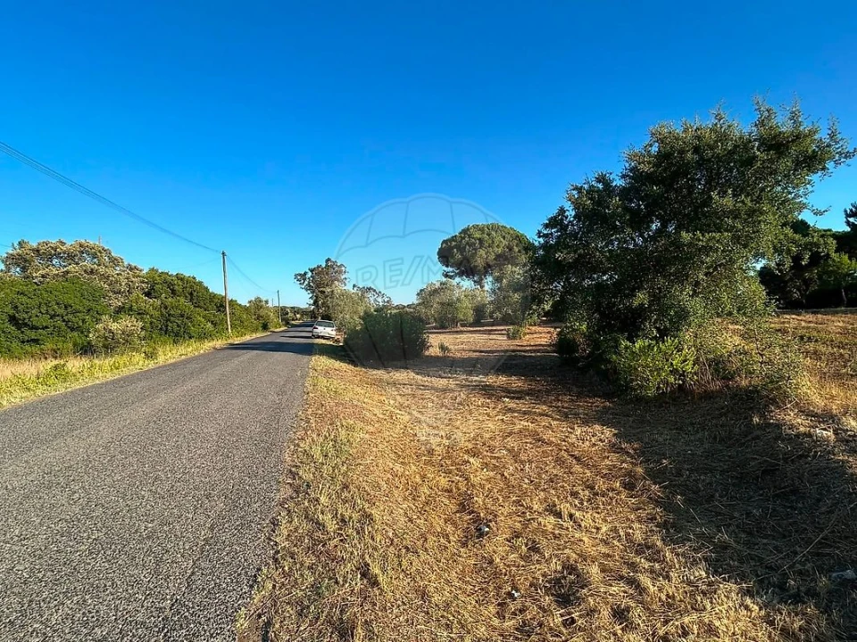 Terreno para Venda em Manique do Intendente, Vila Nova de São Pedro e Maçussa Foto 6