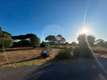 Terreno para Venda em Manique do Intendente, Vila Nova de São Pedro e Maçussa