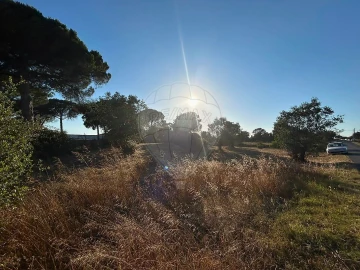 Terreno para Venda em Manique do Intendente, Vila Nova de São Pedro e Maçussa