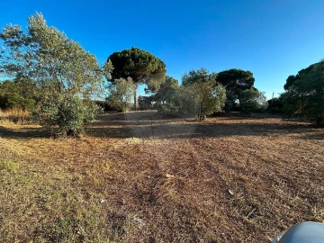 Terreno para Venda em Manique do Intendente, Vila Nova de São Pedro e Maçussa