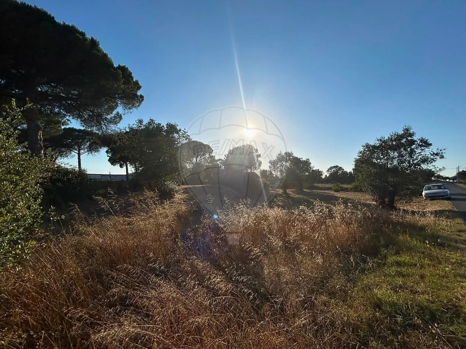 Terreno para Venda em Manique do Intendente, Vila Nova de São Pedro e Maçussa Foto 4