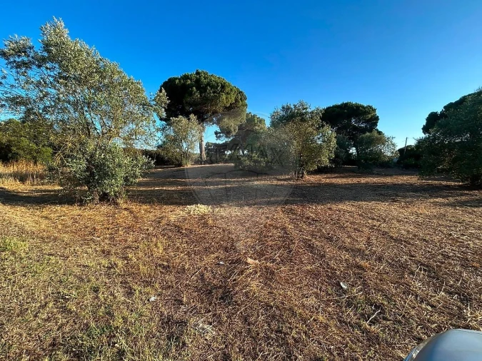 Terreno para Venda em Manique do Intendente, Vila Nova de São Pedro e Maçussa Foto 3