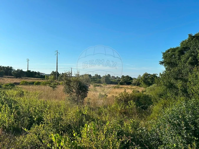 Terreno para Venda em Manique do Intendente, Vila Nova de São Pedro e Maçussa Foto 2