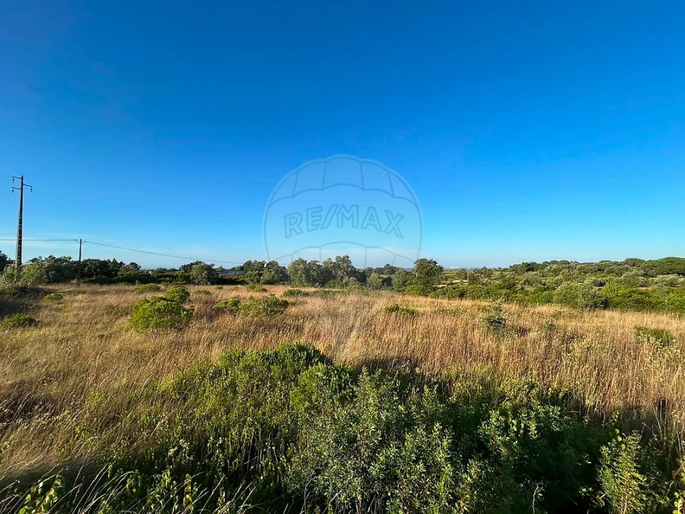 Terreno para Venda em Manique do Intendente, Vila Nova de São Pedro e Maçussa Foto 5