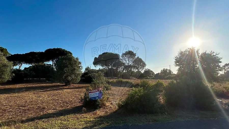 Terreno para Venda em Manique do Intendente, Vila Nova de São Pedro e Maçussa