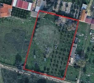 Terreno para Venda em Quinta do Anjo