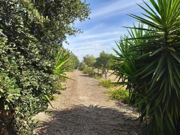 Terreno para Venda em Quinta do Anjo