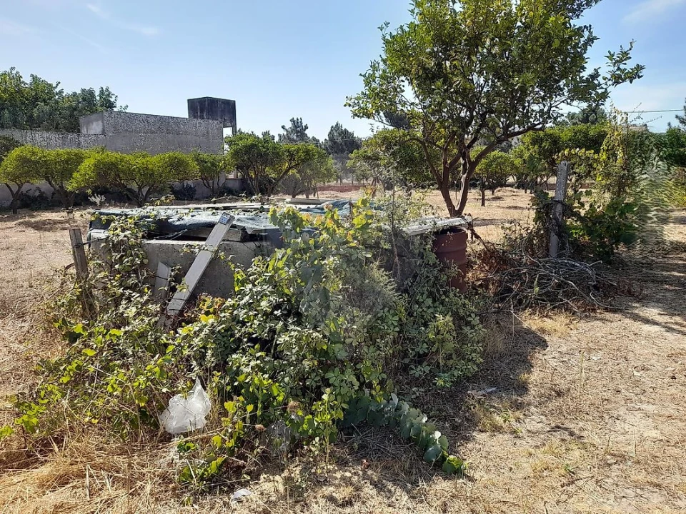Terreno para Venda em Quinta do Anjo Foto 4