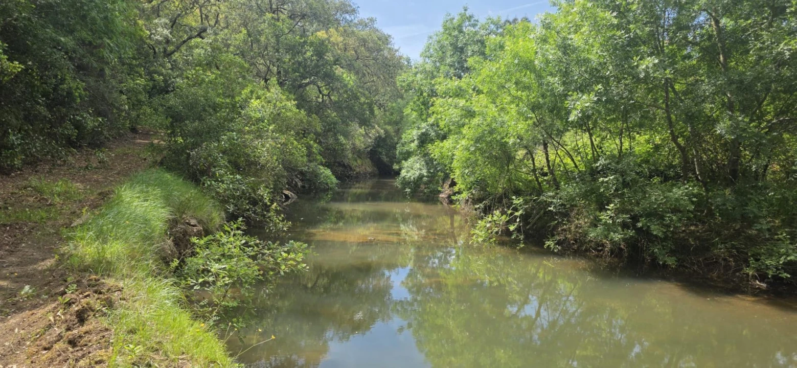 Moradia T1 para Venda em Grândola e Santa Margarida da Serra Foto 1