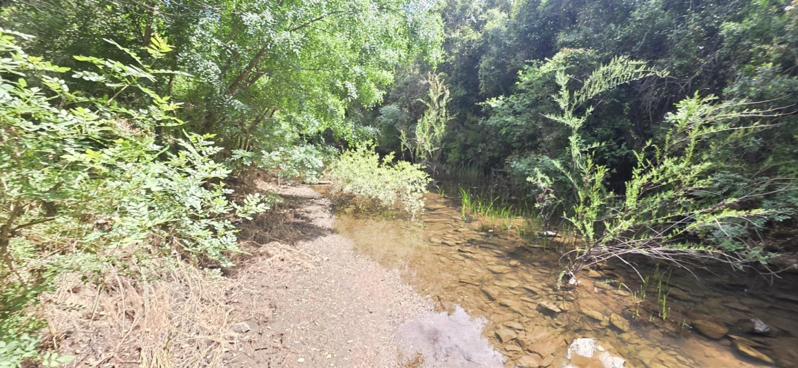 Moradia T1 para Venda em Grândola e Santa Margarida da Serra Foto 11