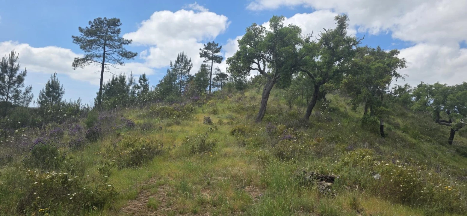 Moradia T1 para Venda em Grândola e Santa Margarida da Serra Foto 26