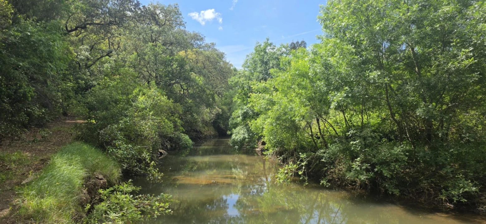 Moradia T1 para Venda em Grândola e Santa Margarida da Serra Foto 3