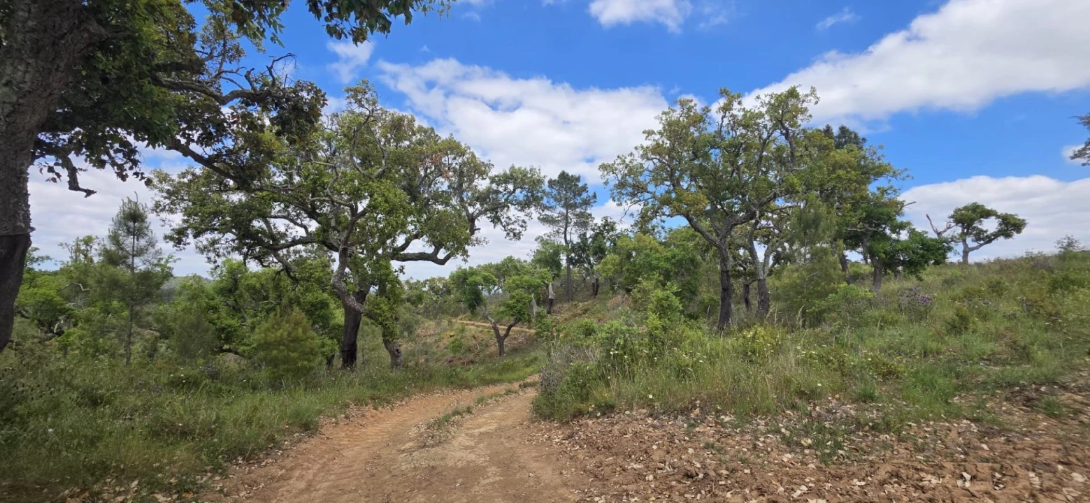 Moradia T1 para Venda em Grândola e Santa Margarida da Serra Foto 31