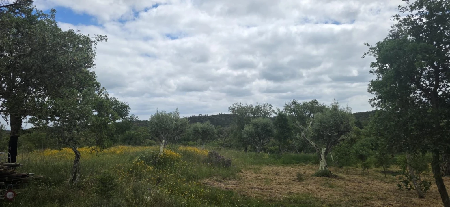 Moradia T1 para Venda em Grândola e Santa Margarida da Serra Foto 33