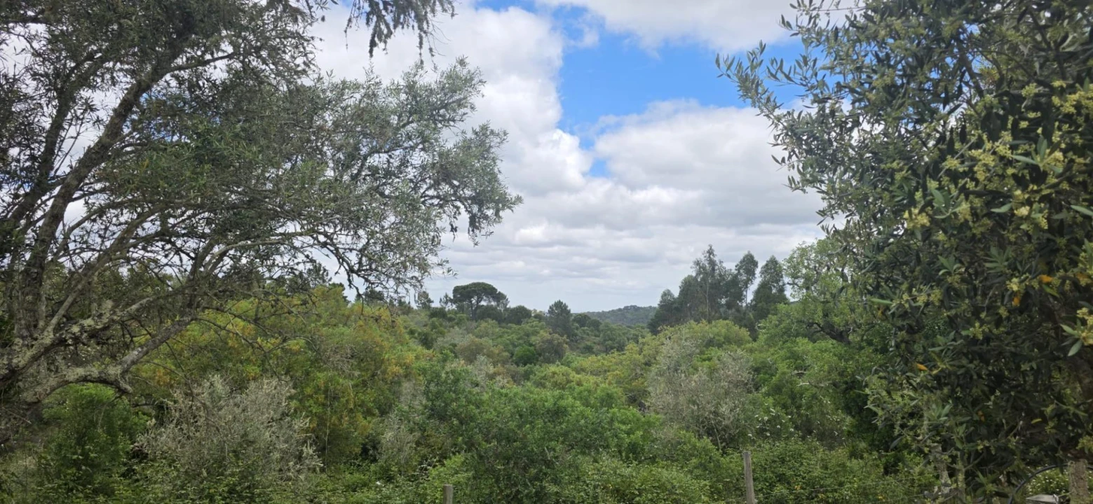 Moradia T1 para Venda em Grândola e Santa Margarida da Serra Foto 35