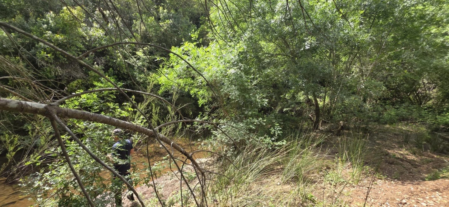 Moradia T1 para Venda em Grândola e Santa Margarida da Serra Foto 5