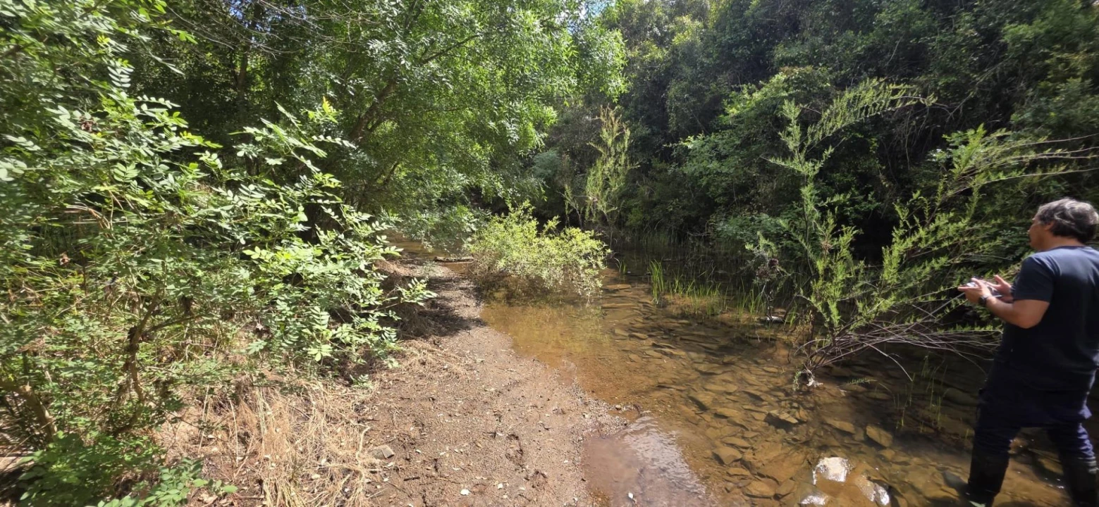 Moradia T1 para Venda em Grândola e Santa Margarida da Serra Foto 6