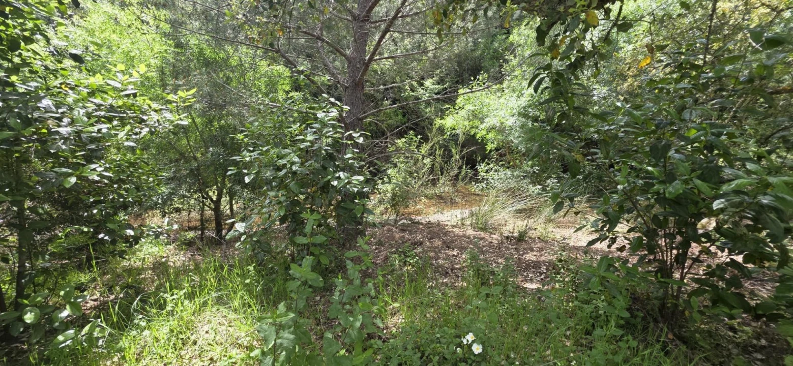 Moradia T1 para Venda em Grândola e Santa Margarida da Serra Foto 10
