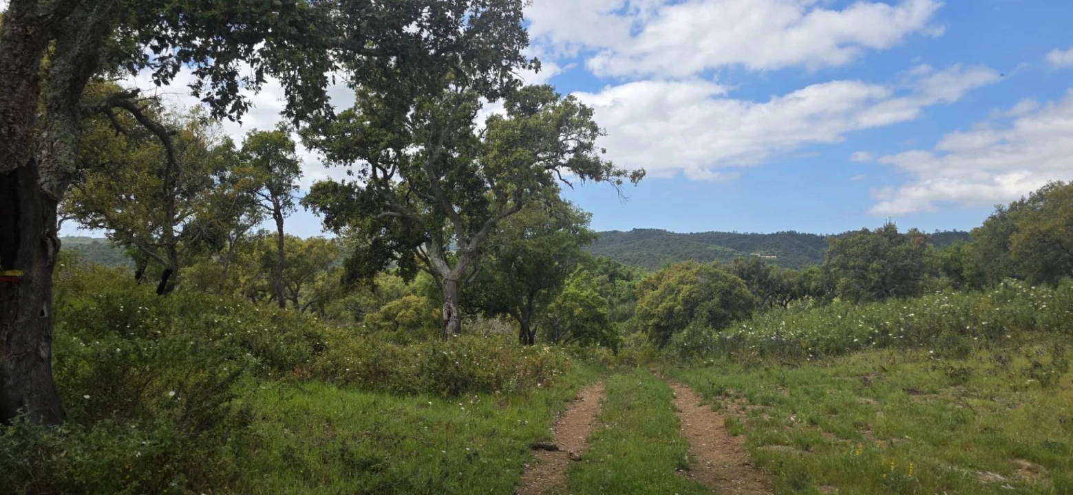 Moradia T1 para Venda em Grândola e Santa Margarida da Serra Foto 21