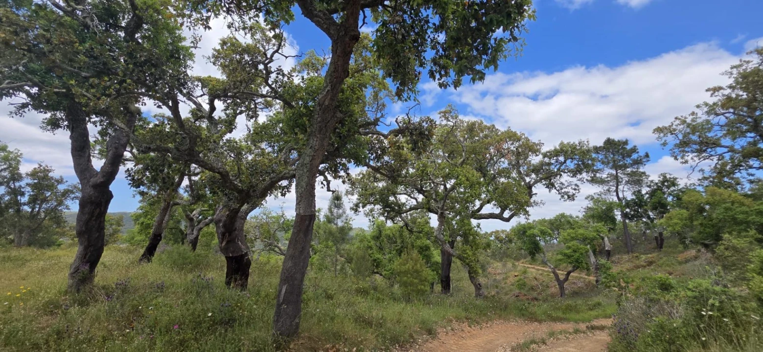 Moradia T1 para Venda em Grândola e Santa Margarida da Serra Foto 27