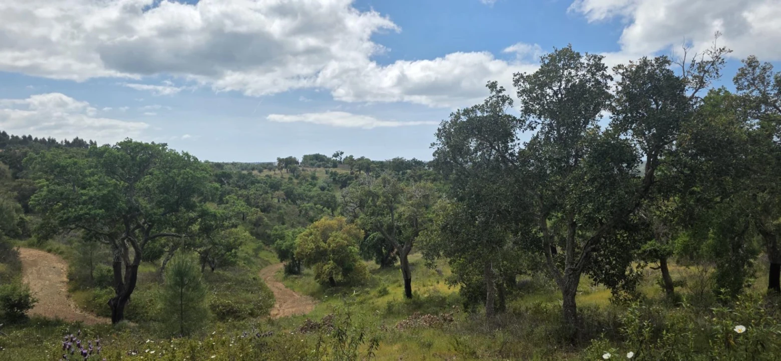 Moradia T1 para Venda em Grândola e Santa Margarida da Serra Foto 30