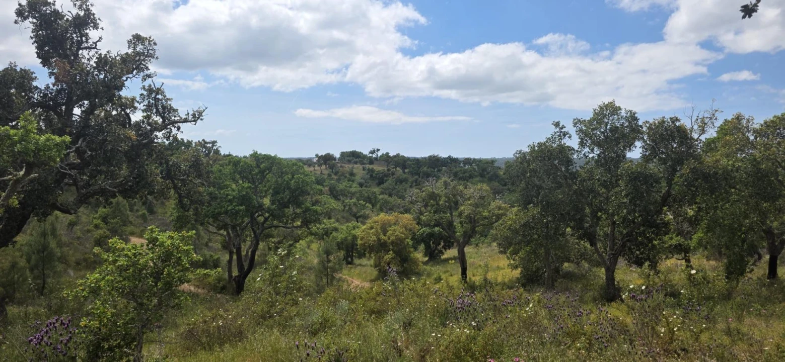 Moradia T1 para Venda em Grândola e Santa Margarida da Serra Foto 37