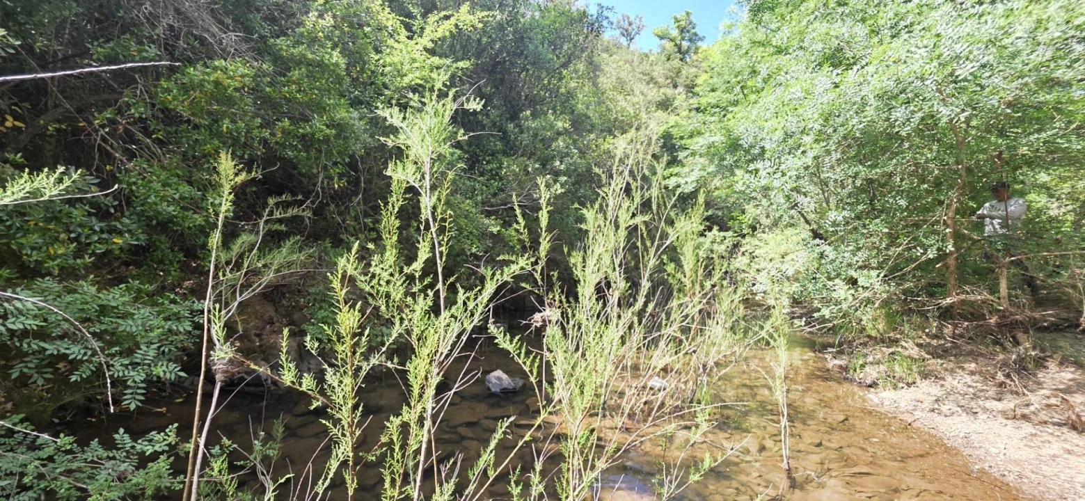 Moradia T1 para Venda em Grândola e Santa Margarida da Serra Foto 8