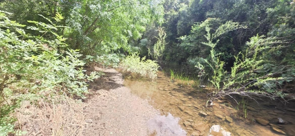 Moradia T1 para Venda em Grândola e Santa Margarida da Serra