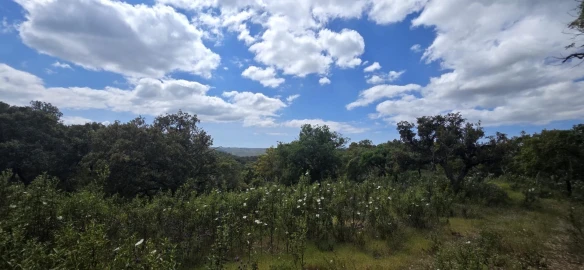 Moradia T1 para Venda em Grândola e Santa Margarida da Serra