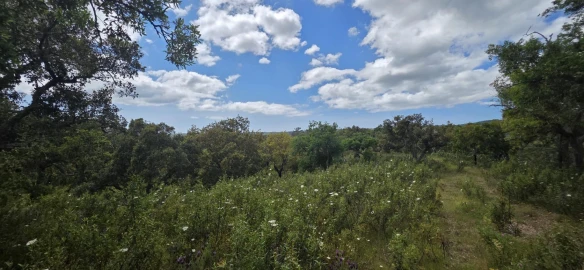 Moradia T1 para Venda em Grândola e Santa Margarida da Serra