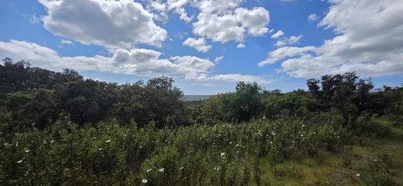 Moradia T1 para Venda em Grândola e Santa Margarida da Serra