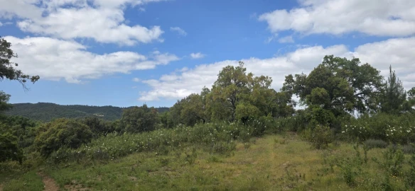 Moradia T1 para Venda em Grândola e Santa Margarida da Serra