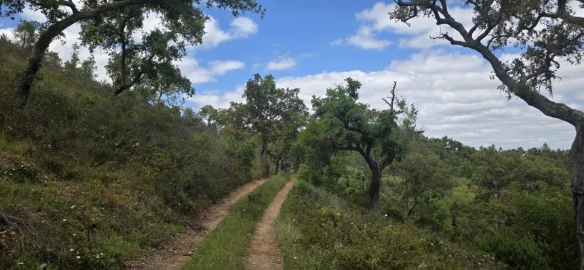 Moradia T1 para Venda em Grândola e Santa Margarida da Serra