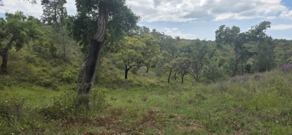 Moradia T1 para Venda em Grândola e Santa Margarida da Serra