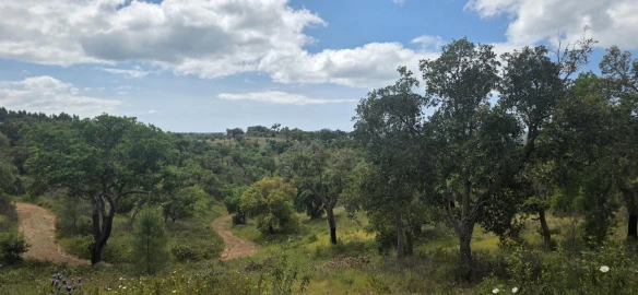 Moradia T1 para Venda em Grândola e Santa Margarida da Serra