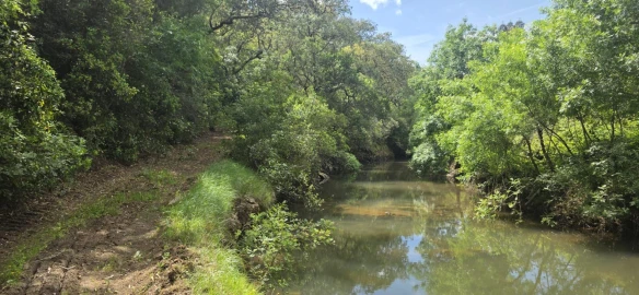 Moradia T1 para Venda em Grândola e Santa Margarida da Serra
