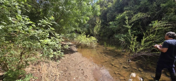 Moradia T1 para Venda em Grândola e Santa Margarida da Serra