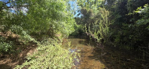 Moradia T1 para Venda em Grândola e Santa Margarida da Serra