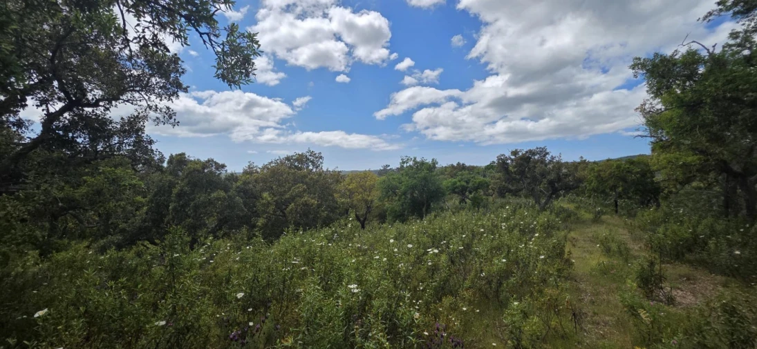 Moradia T1 para Venda em Grândola e Santa Margarida da Serra Foto 14