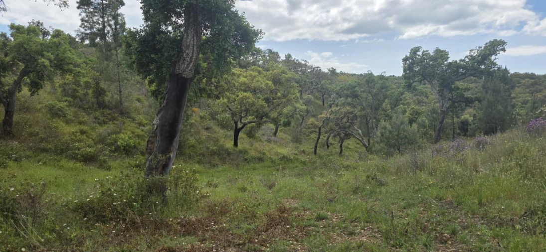 Moradia T1 para Venda em Grândola e Santa Margarida da Serra Foto 22